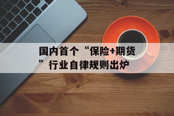国内首个“保险+期货”行业自律规则出炉 国内首个“保险+期货”行业自律规则出炉
