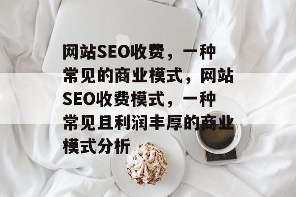 网站SEO收费,一种常见的商业模式,网站SEO收费模式,一种常见且利润丰厚的商业模式分析 网站SEO收费,一种常见的商业模式,网站SEO收费模式,一种常见且利润丰厚的商业模式分析