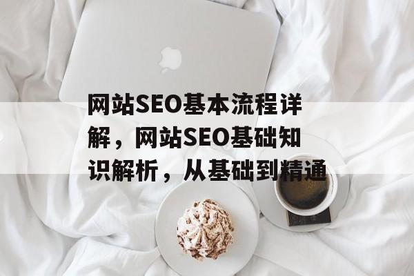 网站SEO基本流程详解,网站SEO基础知识解析,从基础到精通 网站SEO基本流程详解,网站SEO基础知识解析,从基础到精通
