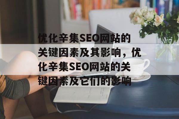 优化辛集SEO网站的关键因素及其影响,优化辛集SEO网站的关键因素及它们的影响 优化辛集SEO网站的关键因素及其影响,优化辛集SEO网站的关键因素及它们的影响