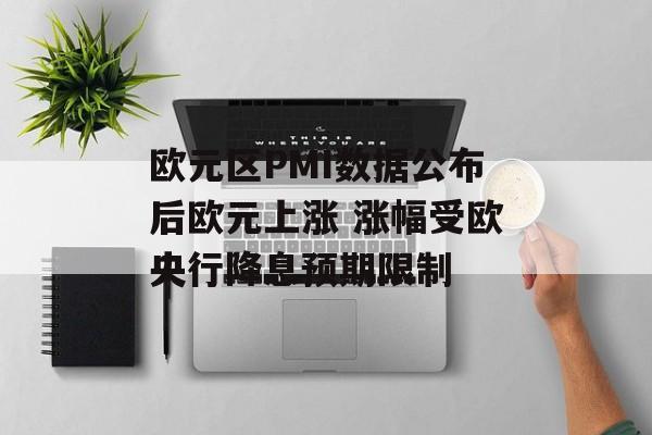 欧元区PMI数据公布后欧元上涨 涨幅受欧央行降息预期限制 欧元区PMI数据公布后欧元上涨 涨幅受欧央行降息预期限制