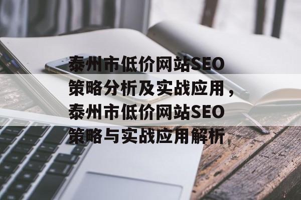 泰州市低价网站SEO策略分析及实战应用,泰州市低价网站SEO策略与实战应用解析 泰州市低价网站SEO策略分析及实战应用,泰州市低价网站SEO策略与实战应用解析