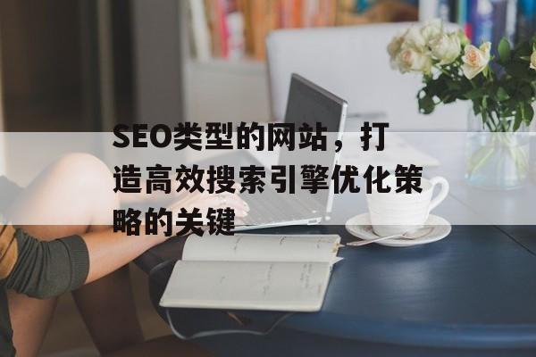SEO类型的网站,打造高效搜索引擎优化策略的关键 SEO类型的网站,打造高效搜索引擎优化策略的关键