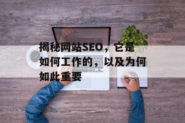 揭秘网站SEO,它是如何工作的,以及为何如此重要 揭秘网站SEO,它是如何工作的,以及为何如此重要