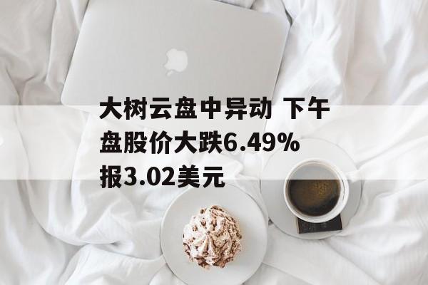 大树云盘中异动 下午盘股价大跌6.49%报3.02美元 大树云盘中异动 下午盘股价大跌6.49%报3.02美元