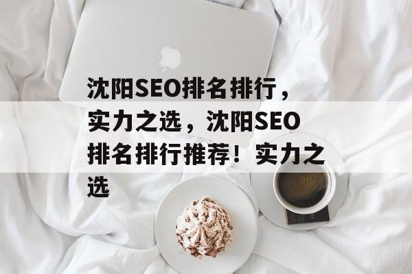 沈阳SEO排名排行,实力之选,沈阳SEO排名排行推荐!实力之选 沈阳SEO排名排行,实力之选,沈阳SEO排名排行推荐!实力之选