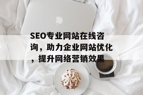 SEO专业网站在线咨询,助力企业网站优化,提升网络营销效果 SEO专业网站在线咨询,助力企业网站优化,提升网络营销效果