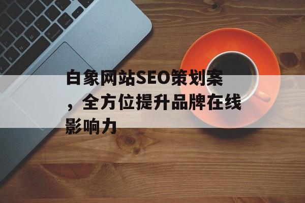 白象网站SEO策划案,全方位提升品牌在线影响力 白象网站SEO策划案,全方位提升品牌在线影响力