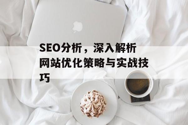 SEO分析,深入解析网站优化策略与实战技巧 SEO分析,深入解析网站优化策略与实战技巧