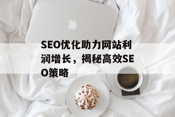SEO优化助力网站利润增长,揭秘高效SEO策略 SEO优化助力网站利润增长,揭秘高效SEO策略