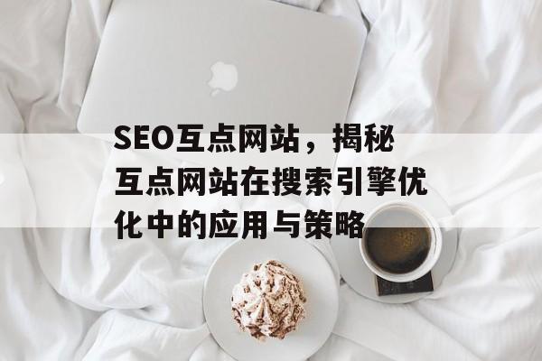 SEO互点网站,揭秘互点网站在搜索引擎优化中的应用与策略 SEO互点网站,揭秘互点网站在搜索引擎优化中的应用与策略