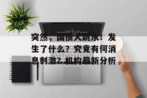 突然,国债大跳水!发生了什么?究竟有何消息刺激?机构最新分析 突然,国债大跳水!发生了什么?究竟有何消息刺激?机构最新分析