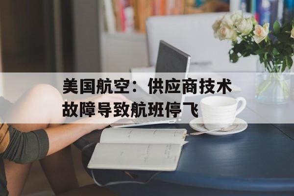 美国航空:供应商技术故障导致航班停飞 美国航空:供应商技术故障导致航班停飞