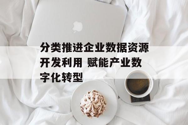 分类推进企业数据资源开发利用 赋能产业数字化转型 分类推进企业数据资源开发利用 赋能产业数字化转型