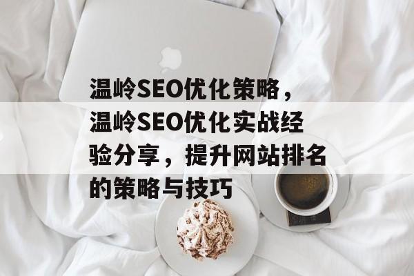 温岭SEO优化策略,温岭SEO优化实战经验分享,提升网站排名的策略与技巧 温岭SEO优化策略,温岭SEO优化实战经验分享,提升网站排名的策略与技巧