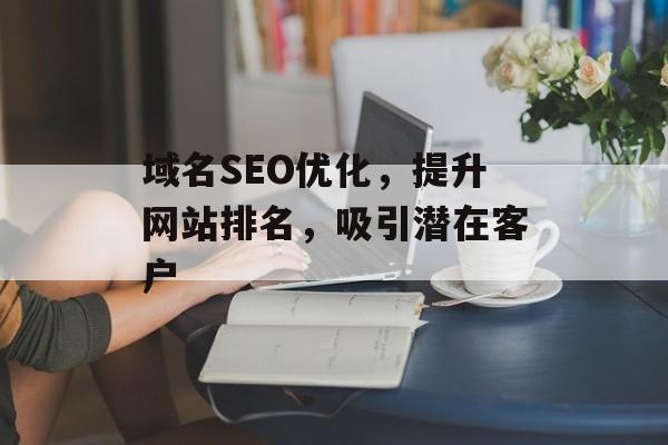 域名SEO优化,提升网站排名,吸引潜在客户 域名SEO优化,提升网站排名,吸引潜在客户