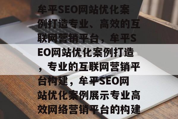 牟平SEO网站优化案例打造专业、高效的互联网营销平台，牟平SEO网站优化案例打造，专业的互联网营销平台构建，牟平SEO网站优化案例展示专业高效网络营销平台的构建