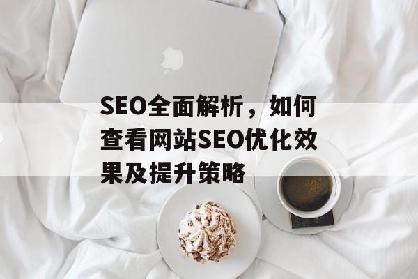 SEO全面解析,如何查看网站SEO优化效果及提升策略 SEO全面解析,如何查看网站SEO优化效果及提升策略