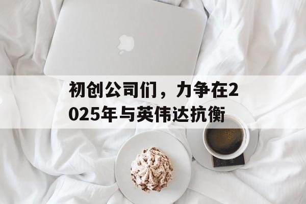 初创公司们,力争在2025年与英伟达抗衡 初创公司们,力争在2025年与英伟达抗衡