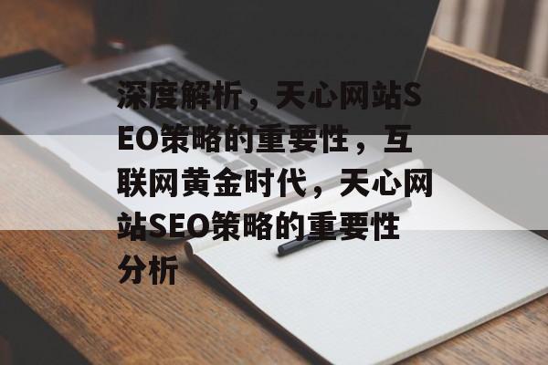深度解析,天心网站SEO策略的重要性,互联网黄金时代,天心网站SEO策略的重要性分析 深度解析,天心网站SEO策略的重要性,互联网黄金时代,天心网站SEO策略的重要性分析