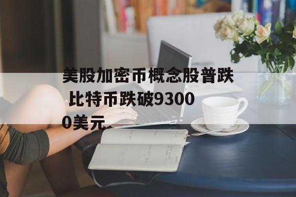美股加密币概念股普跌 比特币跌破93000美元 美股加密币概念股普跌 比特币跌破93000美元