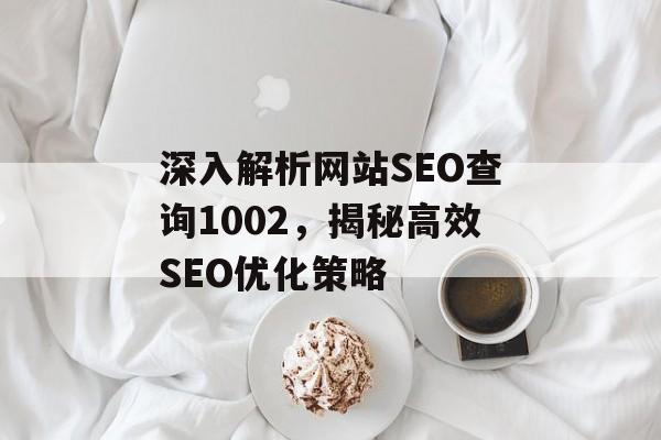 深入解析网站SEO查询1002,揭秘高效SEO优化策略 深入解析网站SEO查询1002,揭秘高效SEO优化策略