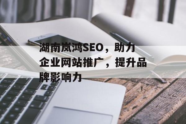 湖南岚鸿SEO,助力企业网站推广,提升品牌影响力 湖南岚鸿SEO,助力企业网站推广,提升品牌影响力