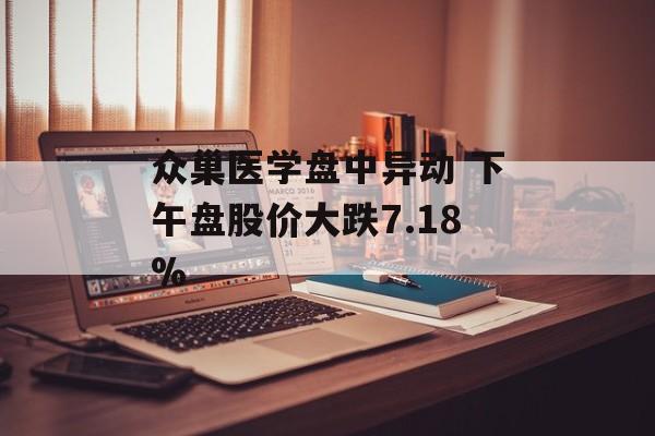 众巢医学盘中异动 下午盘股价大跌7.18% 众巢医学盘中异动 下午盘股价大跌7.18%