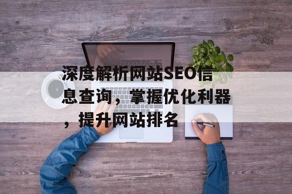 深度解析网站SEO信息查询,掌握优化利器,提升网站排名 深度解析网站SEO信息查询,掌握优化利器,提升网站排名
