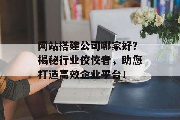 网站搭建公司哪家好？揭秘行业佼佼者，助您打造高效企业平台！