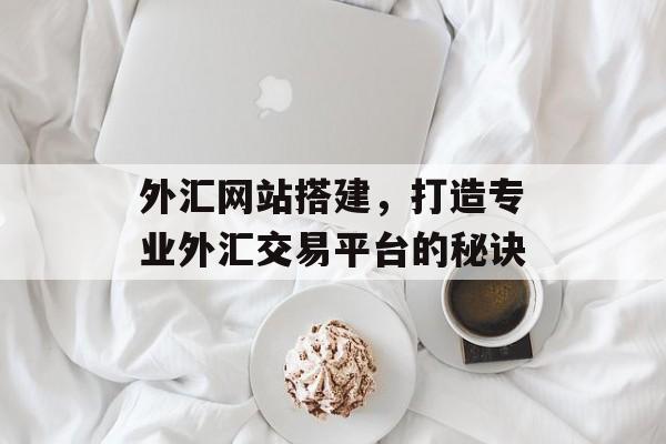 外汇网站搭建,打造专业外汇交易平台的秘诀 外汇网站搭建,打造专业外汇交易平台的秘诀
