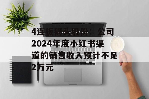 4连板狮头股份:公司2024年度小红书渠道的销售收入预计不足2万元 4连板狮头股份:公司2024年度小红书渠道的销售收入预计不足2万元