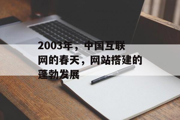 2003年,中国互联网的春天,网站搭建的蓬勃发展 2003年,中国互联网的春天,网站搭建的蓬勃发展