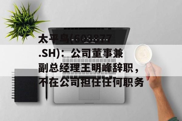 太平鸟(603877.SH):公司董事兼副总经理王明峰辞职,不在公司担任任何职务 太平鸟(603877.SH):公司董事兼副总经理王明峰辞职,不在公司担任任何职务