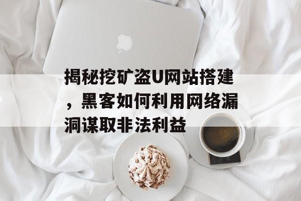 揭秘挖矿盗U网站搭建,黑客如何利用网络漏洞谋取非法利益 揭秘挖矿盗U网站搭建,黑客如何利用网络漏洞谋取非法利益