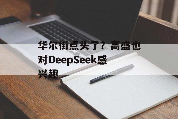 华尔街点头了?高盛也对DeepSeek感兴趣 华尔街点头了?高盛也对DeepSeek感兴趣