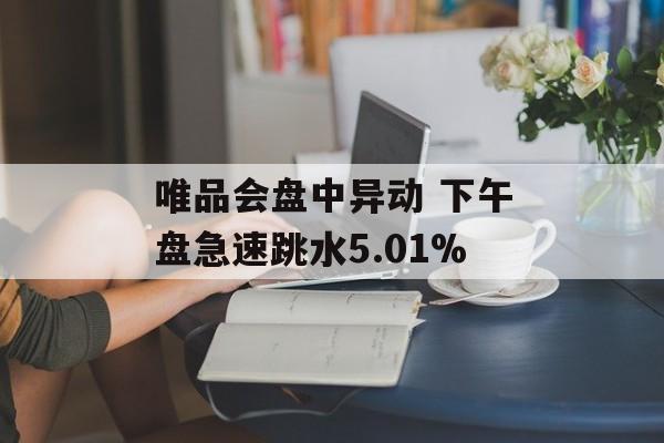 唯品会盘中异动 下午盘急速跳水5.01% 唯品会盘中异动 下午盘急速跳水5.01%