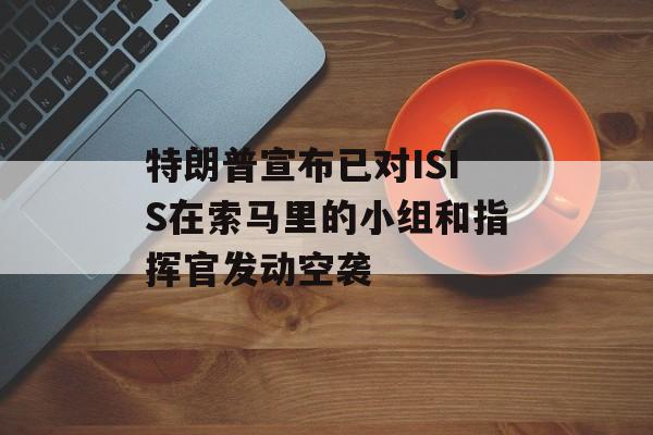 特朗普宣布已对ISIS在索马里的小组和指挥官发动空袭