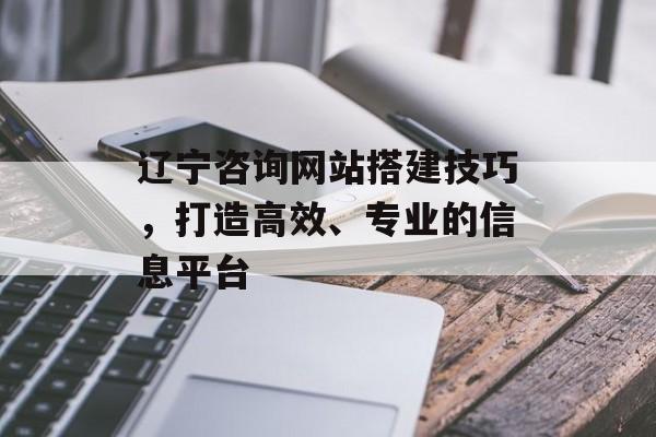 辽宁咨询网站搭建技巧,打造高效、专业的信息平台 辽宁咨询网站搭建技巧,打造高效、专业的信息平台