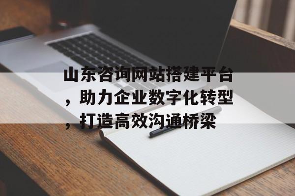 山东咨询网站搭建平台，助力企业数字化转型，打造高效沟通桥梁