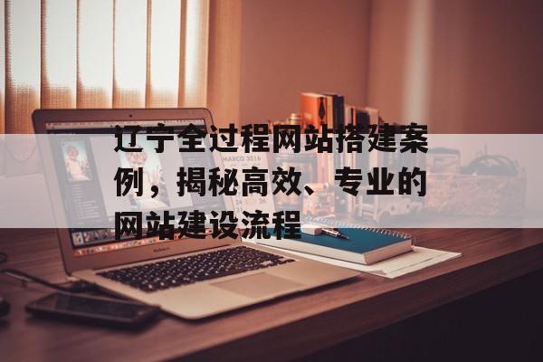 辽宁全过程网站搭建案例,揭秘高效、专业的网站建设流程 辽宁全过程网站搭建案例,揭秘高效、专业的网站建设流程