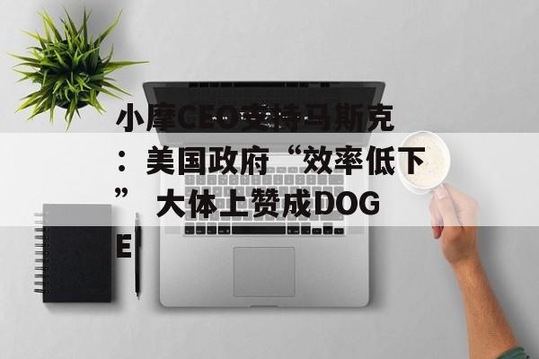 小摩CEO支持马斯克：美国政府“效率低下” 大体上赞成DOGE