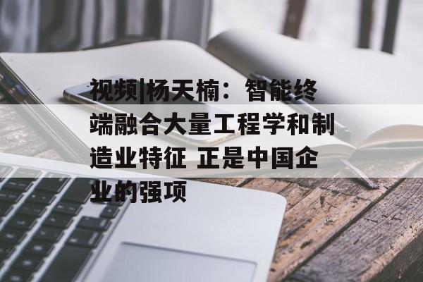 视频|杨天楠：智能终端融合大量工程学和制造业特征 正是中国企业的强项
