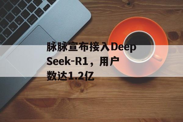 脉脉宣布接入DeepSeek-R1，用户数达1.2亿