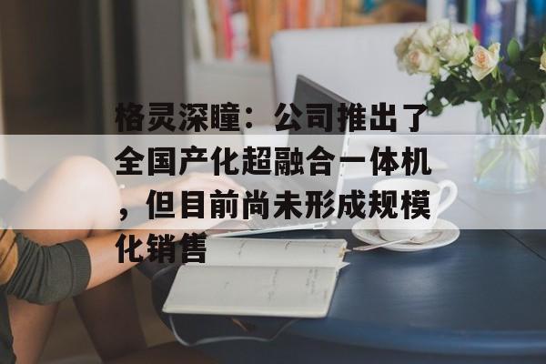 格灵深瞳:公司推出了全国产化超融合一体机,但目前尚未形成规模化销售 格灵深瞳:公司推出了全国产化超融合一体机,但目前尚未形成规模化销售