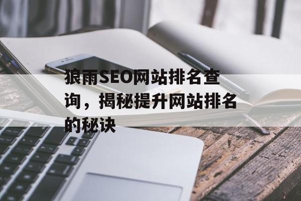 狼雨SEO网站排名查询，揭秘提升网站排名的秘诀