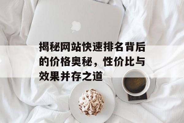 揭秘网站快速排名背后的价格奥秘，性价比与效果并存之道