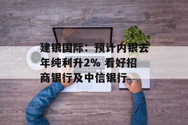 建银国际:预计内银去年纯利升2% 看好招商银行及中信银行 建银国际:预计内银去年纯利升2% 看好招商银行及中信银行
