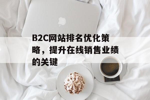 B2C网站排名优化策略,提升在线销售业绩的关键 B2C网站排名优化策略,提升在线销售业绩的关键
