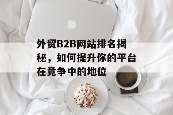 外贸B2B网站排名揭秘，如何提升你的平台在竞争中的地位